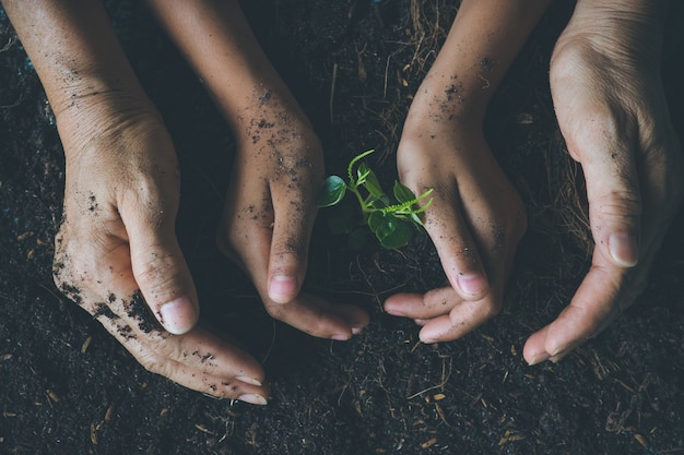 A close-up photo of hands planting a tree together, symbolizing community involvement and growth. Focuses on unity and taking action.