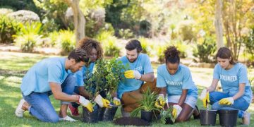 Voluntariado em 2025: Áreas Essenciais e Como Ajudar - Cover Image