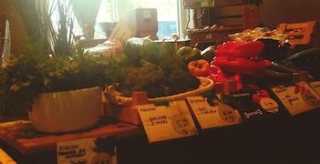 Combate ao Desperdício de Alimentos: Iniciativas Comunitárias e Impacto Ambiental - Cover Image