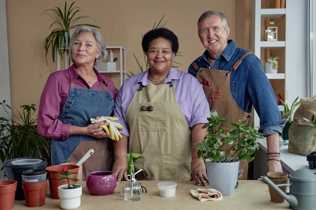 Envelhecimento Ativo: Programas Comunitários para Qualidade de Vida