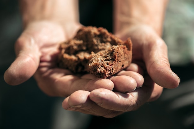 Close-up of hands holding a handful of rich, dark compost. The compost contains visible organic matter, such as leaves and twigs. The background is blurred, showing a composting bin and green foliage. The light is natural and highlights the texture of the compost.