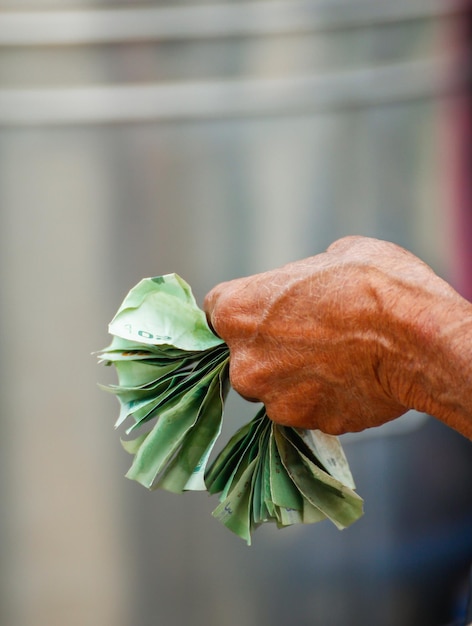 A high-angle shot showing a person’s hands carefully sorting through various Brazilian currency notes and coins, symbolizing personal financial planning. The background is blurred to keep the focus on the money and hands. The lighting is soft and even to highlight the details of the currency.
