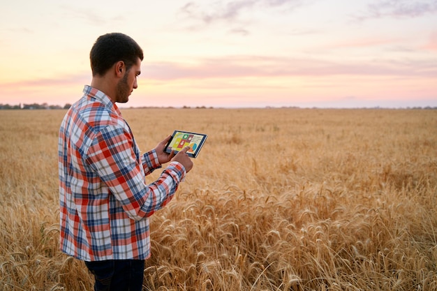 A farmer using a tablet in a field, analyzing data related to crop health and weather patterns, with various agricultural sensors visible in the background.
