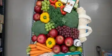 Smart grocery cart with fresh produce and meal plan